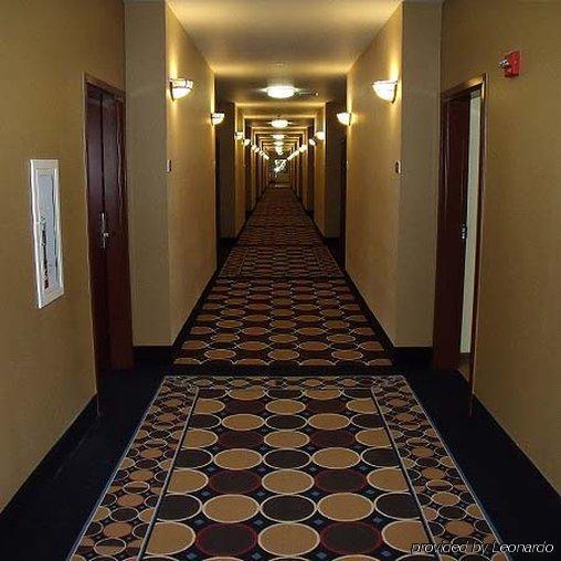 Irish Inn And Suites Muleshoe Kültér fotó